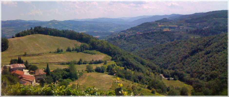 farmstay farmstay