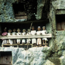 torajaday1