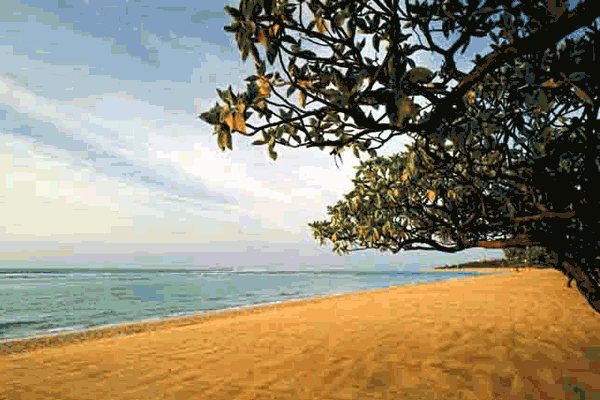 beach-front-big beach-front-big