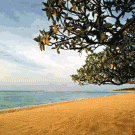 beach-front-big