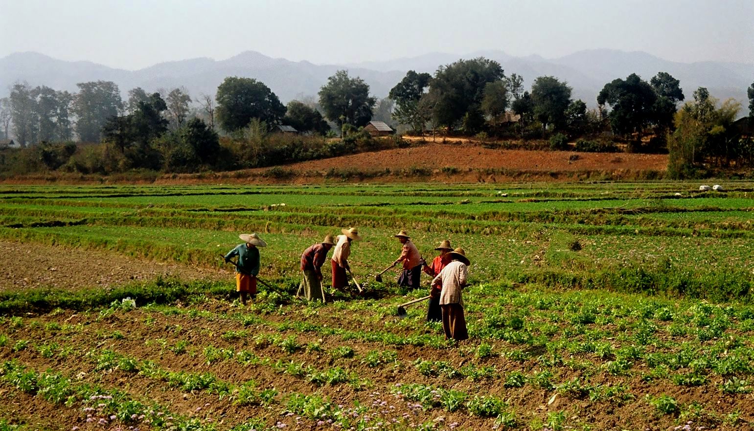 Hsipaw