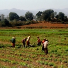 Hsipaw