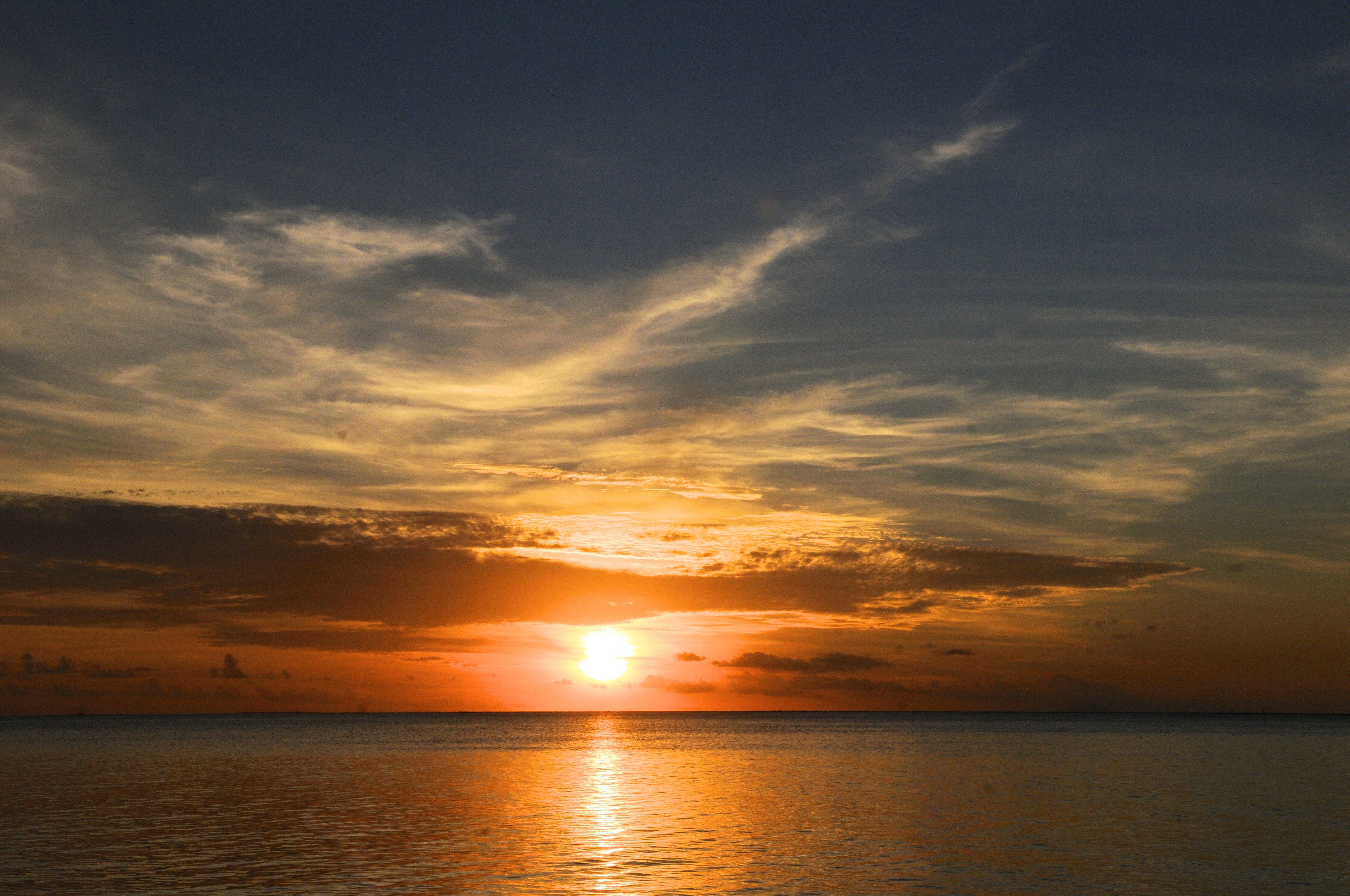 DSC_5037 DSC_5037