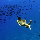Tracy_Kraft_14769