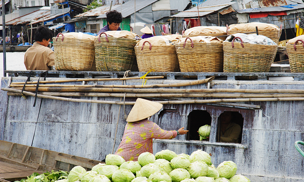 day12.vinhlong
