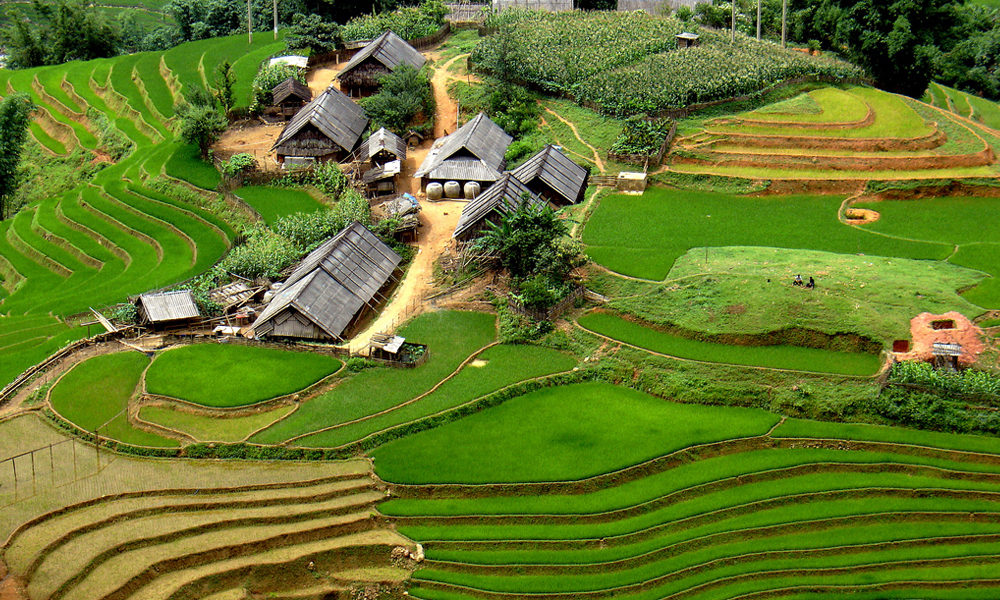 day4.sapa