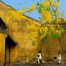day11.hoian2